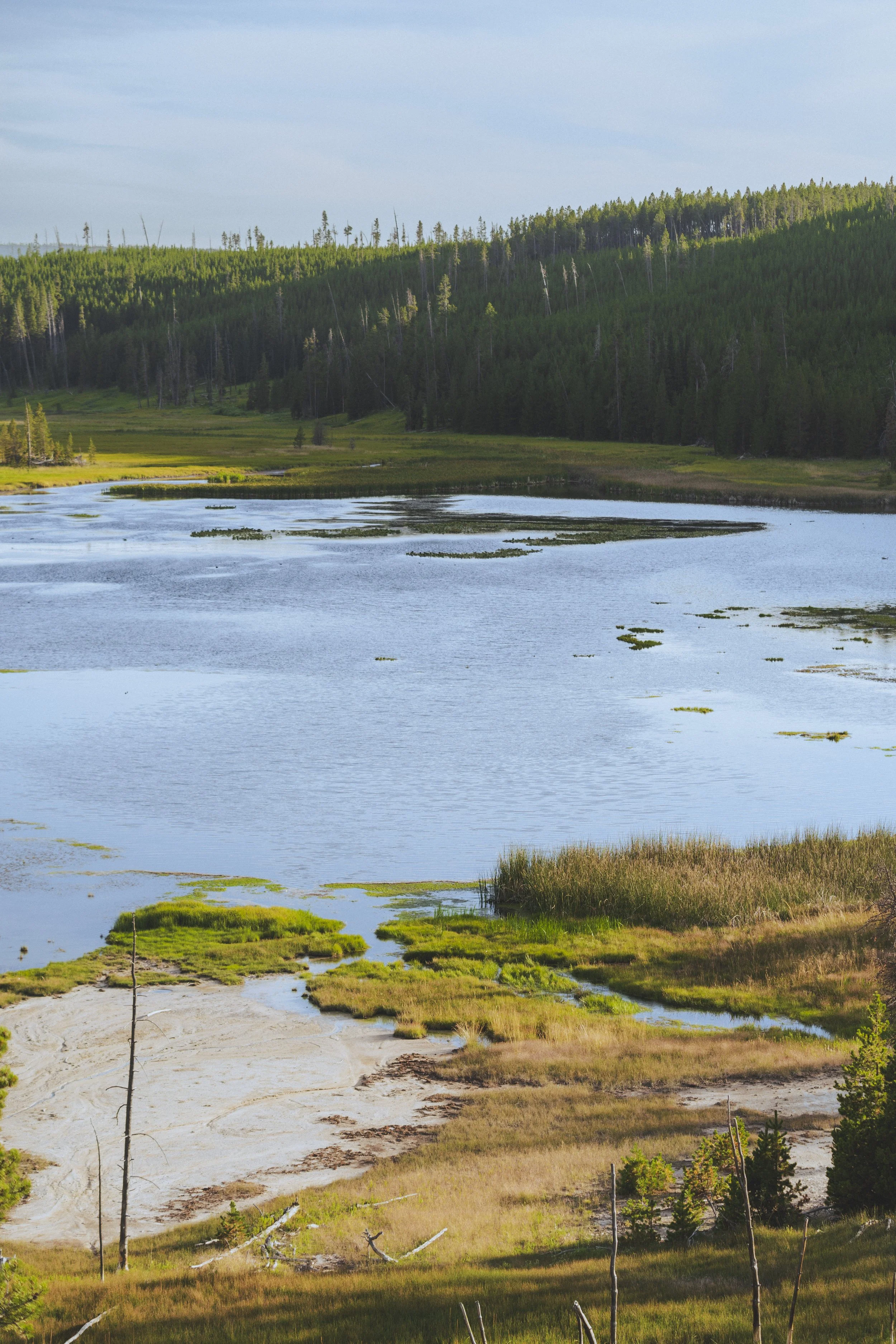20260802-_DSC9662.jpg