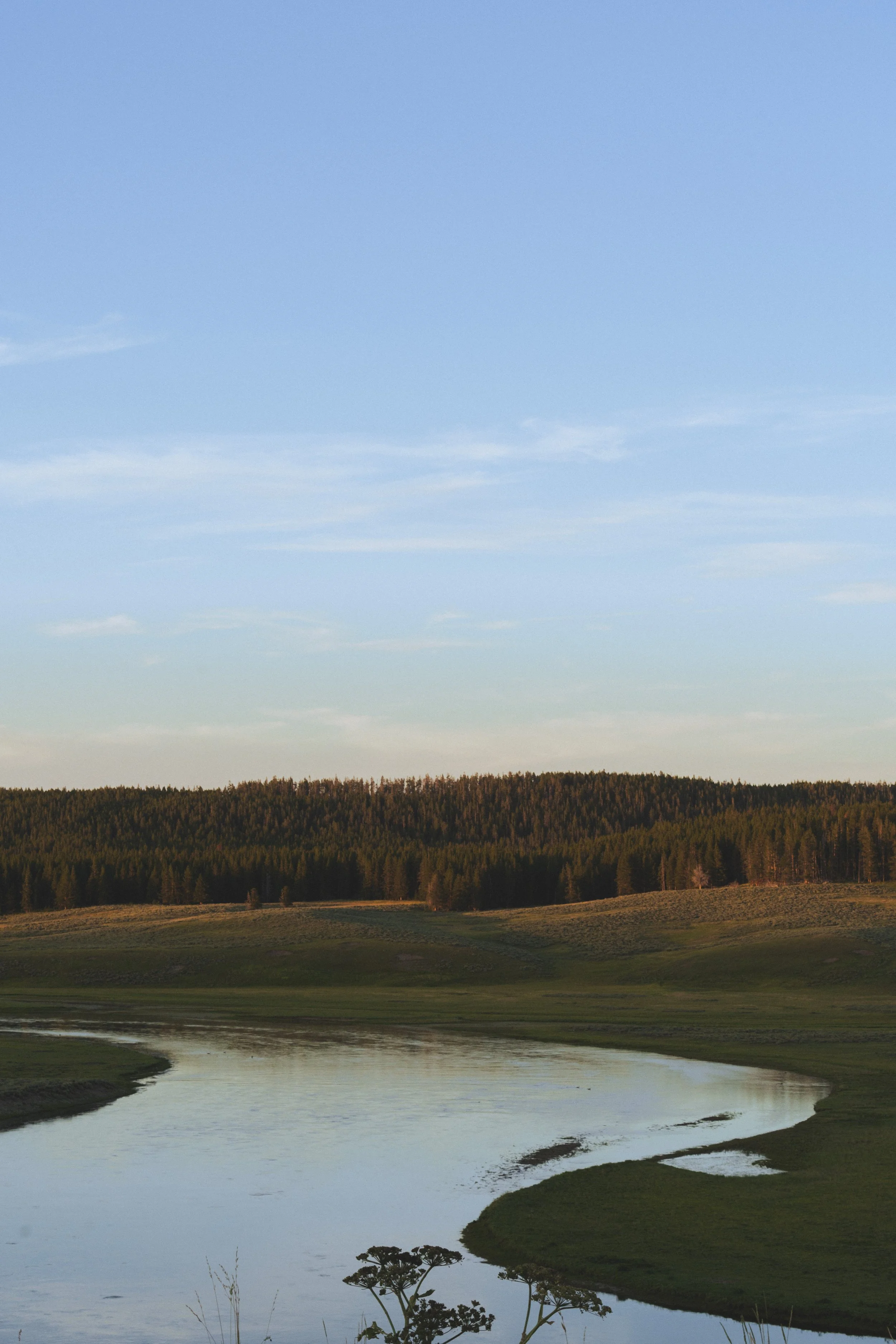 20260802-_DSC9732.jpg