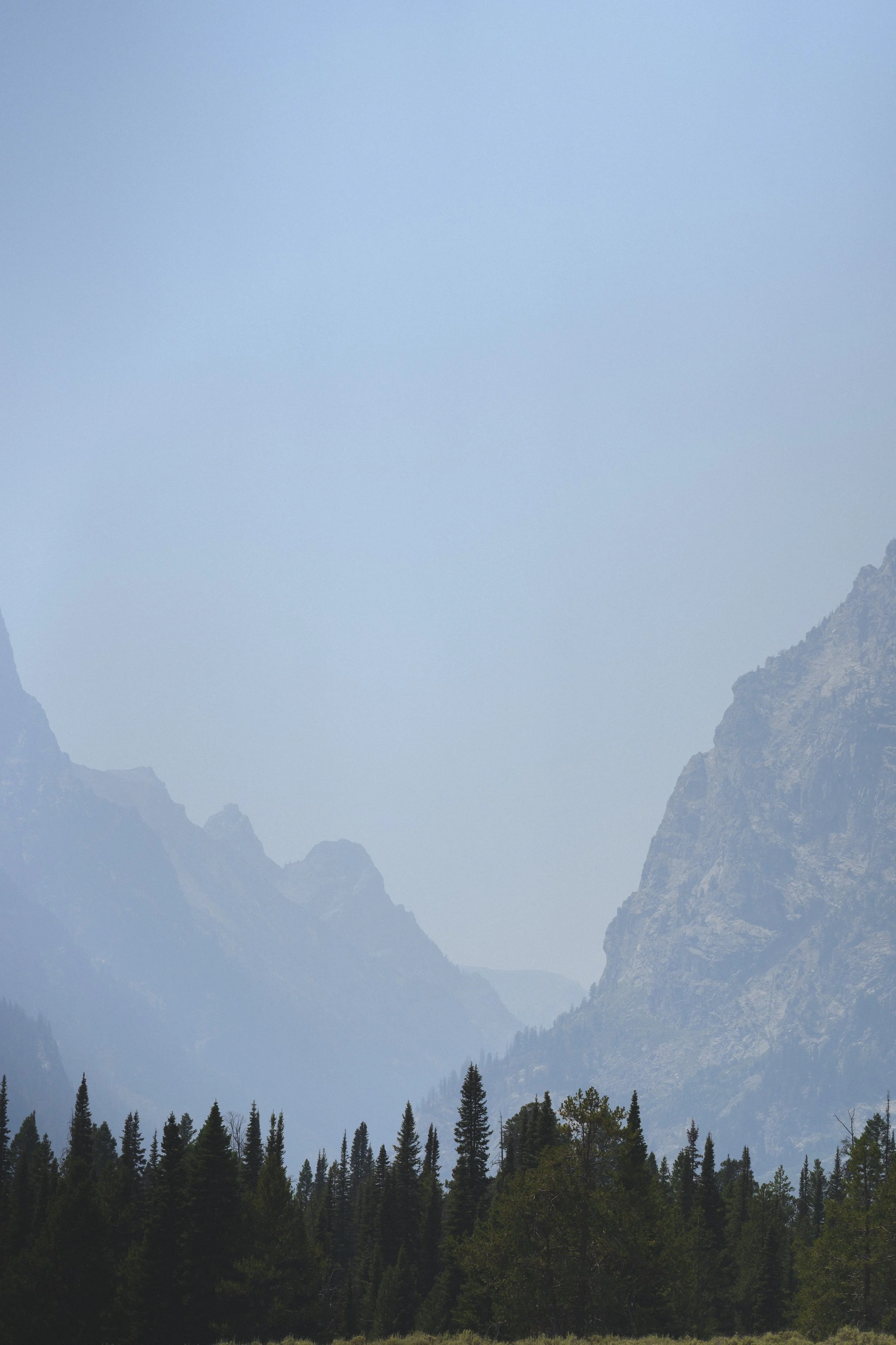 20260803-_DSC9918.jpg
