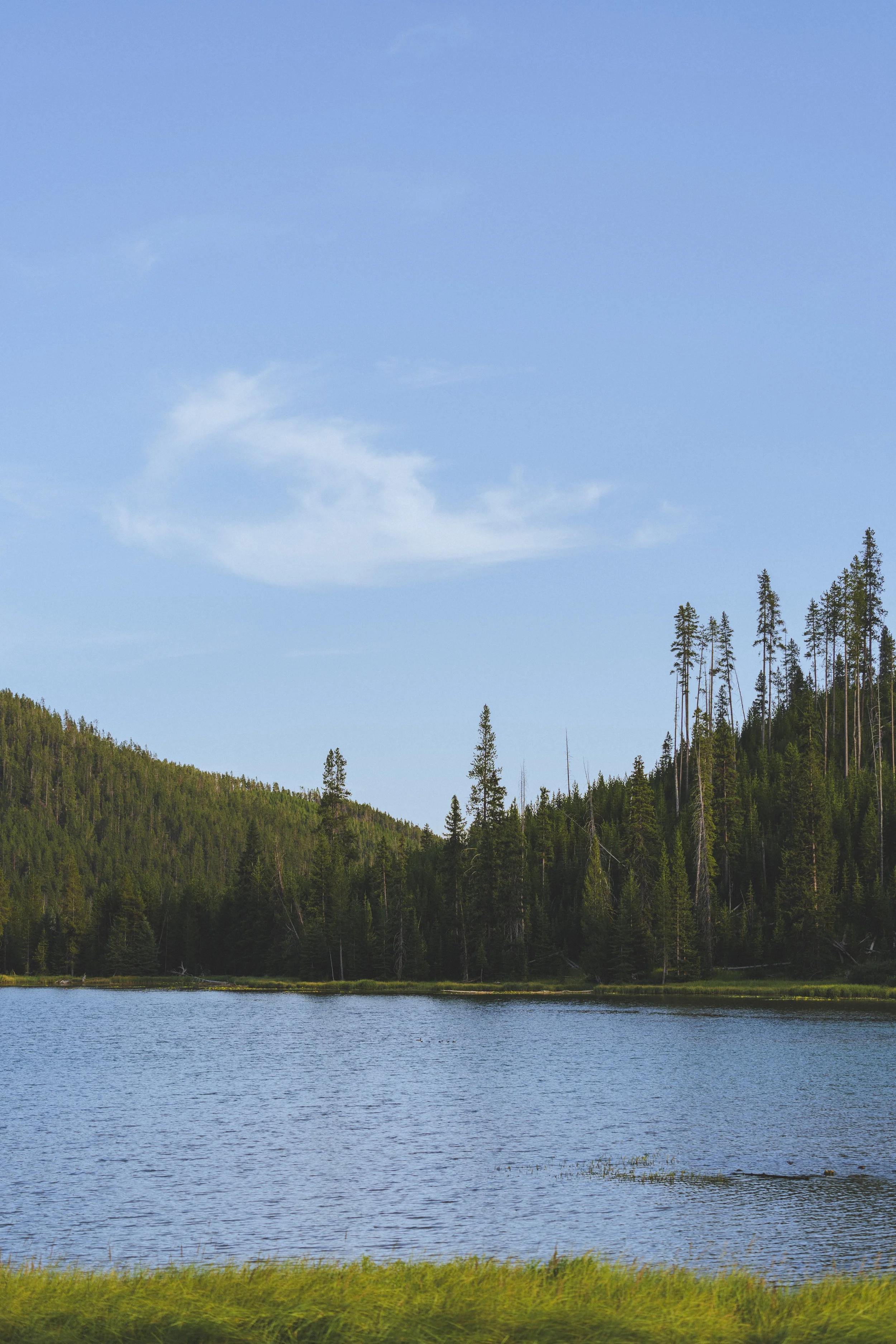20260802-_DSC9623.jpg