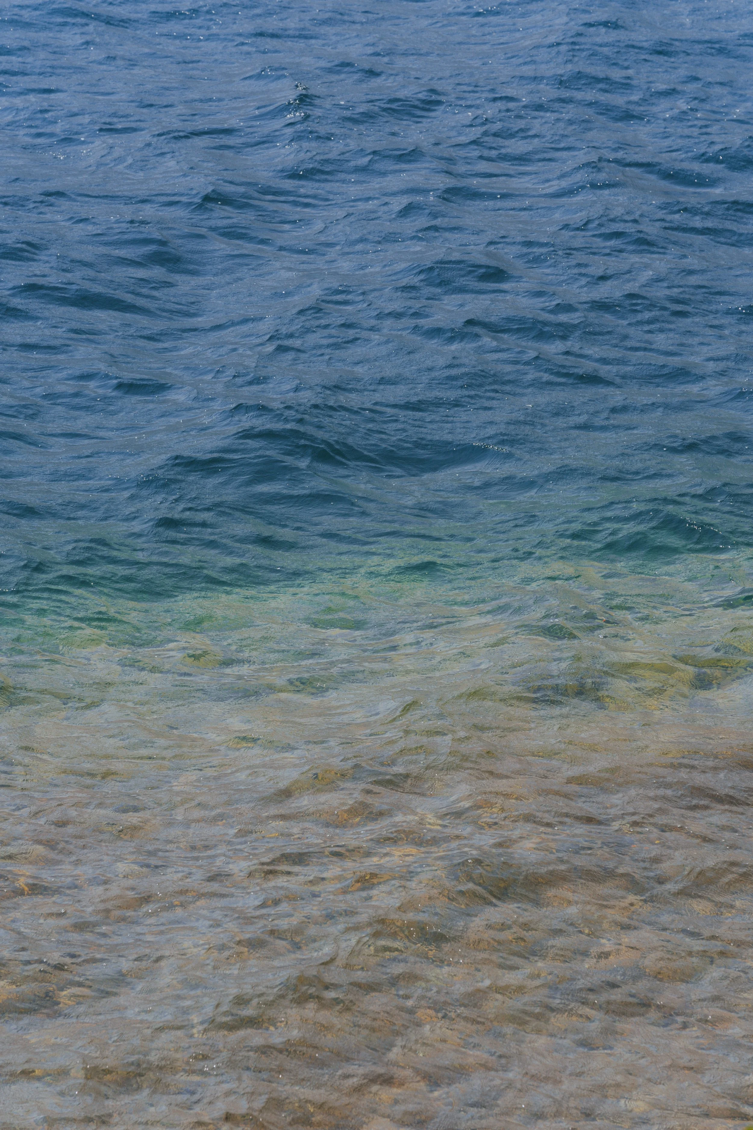 20260803-_DSC9982.jpg