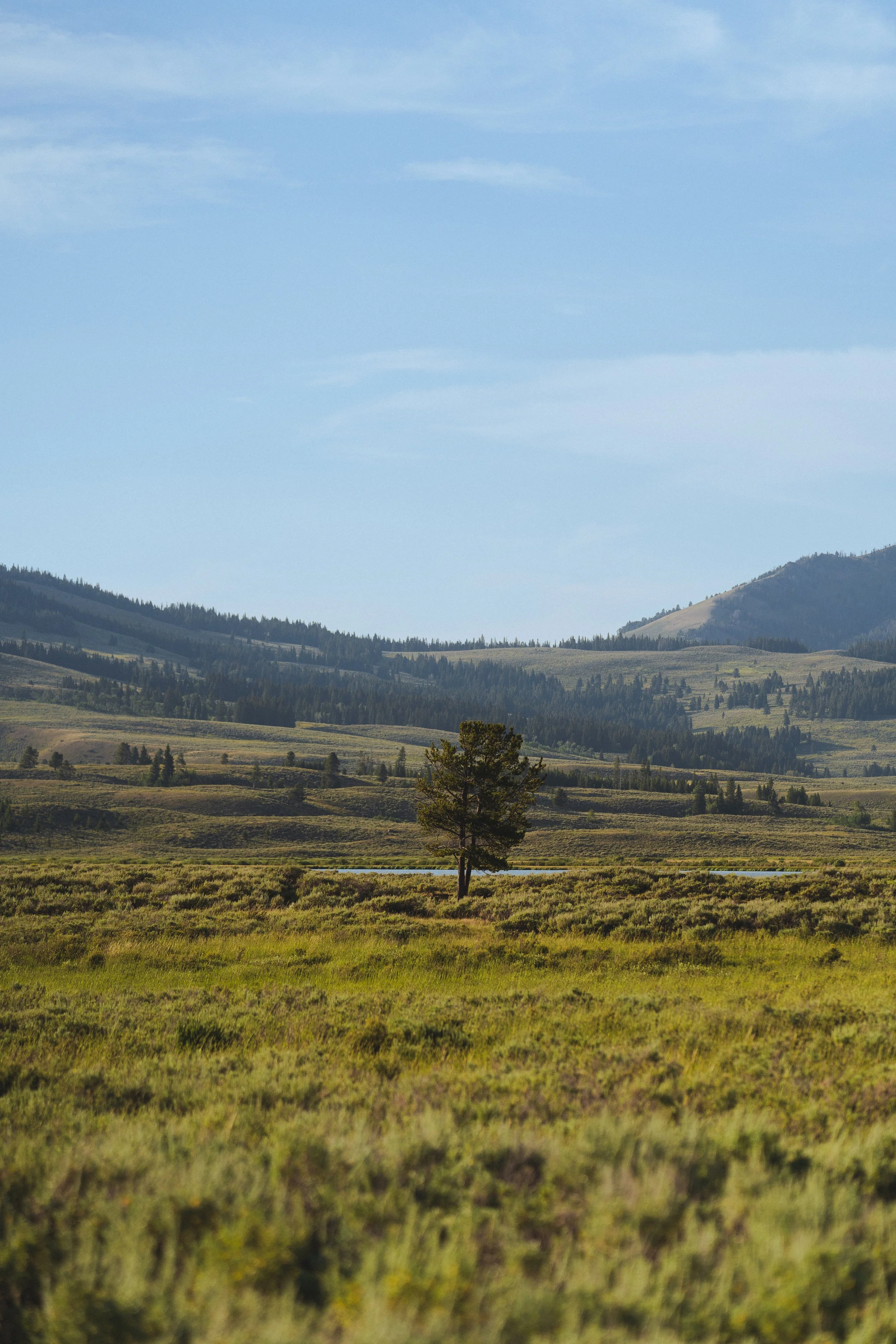 _DSC9612.jpg