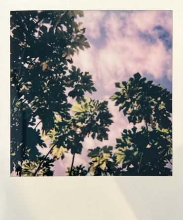 Screen Shot 2022-04-18 at 4.34.23 PM.png