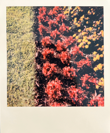 Screen Shot 2022-04-18 at 4.30.58 PM.png