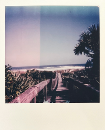 Screen Shot 2022-04-18 at 4.36.11 PM.png