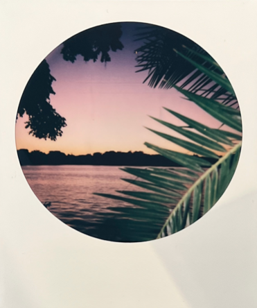 Screen Shot 2022-04-18 at 4.34.30 PM.png