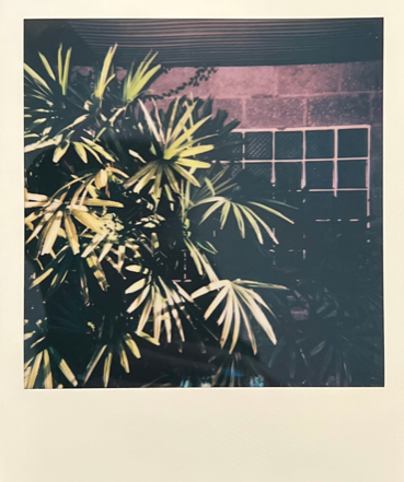 Screen Shot 2022-04-18 at 4.31.40 PM.png