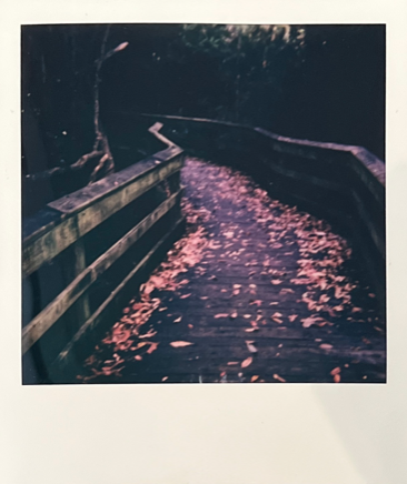 Screen Shot 2022-04-18 at 4.32.16 PM.png