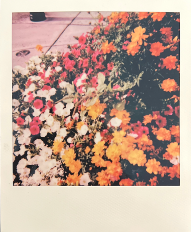 Screen Shot 2022-04-18 at 4.30.26 PM.png