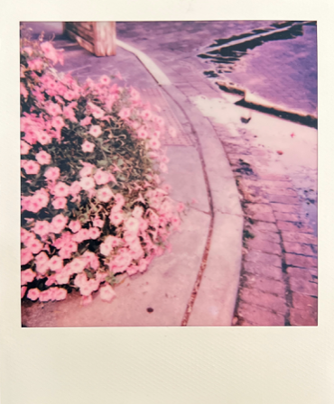 Screen Shot 2022-04-18 at 4.31.06 PM.png