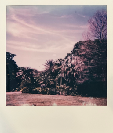 Screen Shot 2022-04-18 at 4.36.45 PM.png