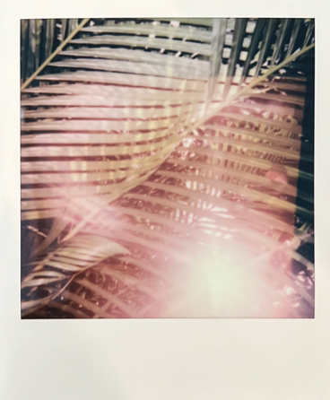 Screen Shot 2022-04-18 at 4.32.09 PM.png