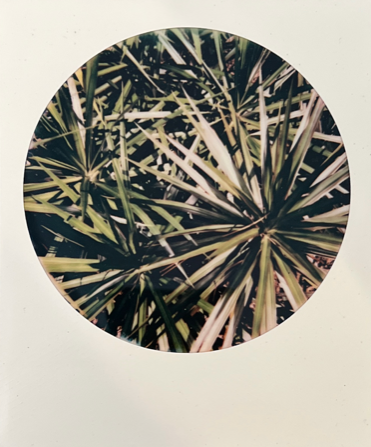 Screen Shot 2022-04-18 at 4.31.56 PM.png