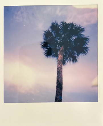 Screen Shot 2022-04-18 at 4.31.27 PM.png