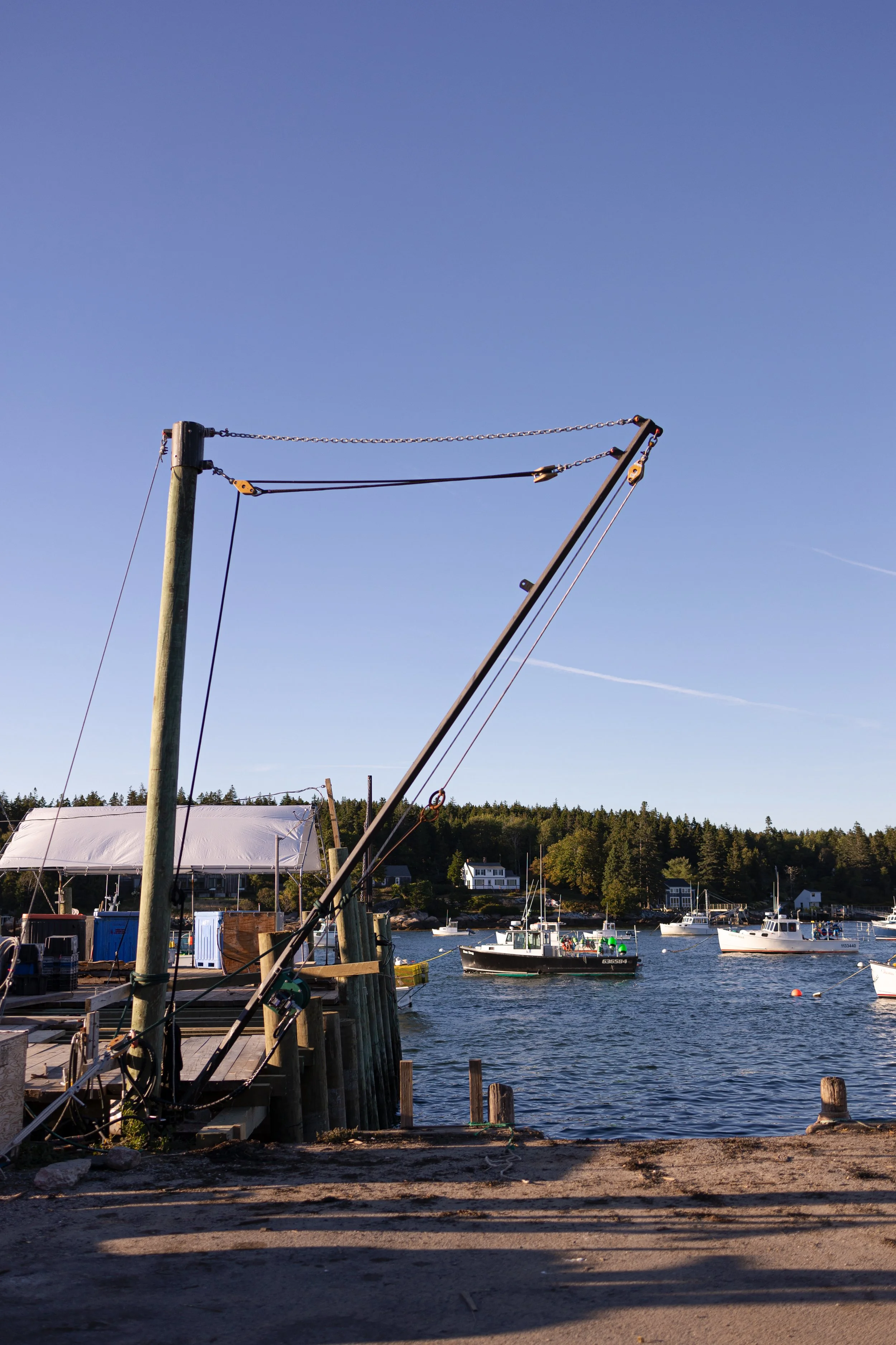 burnt-cove-boil.jpg