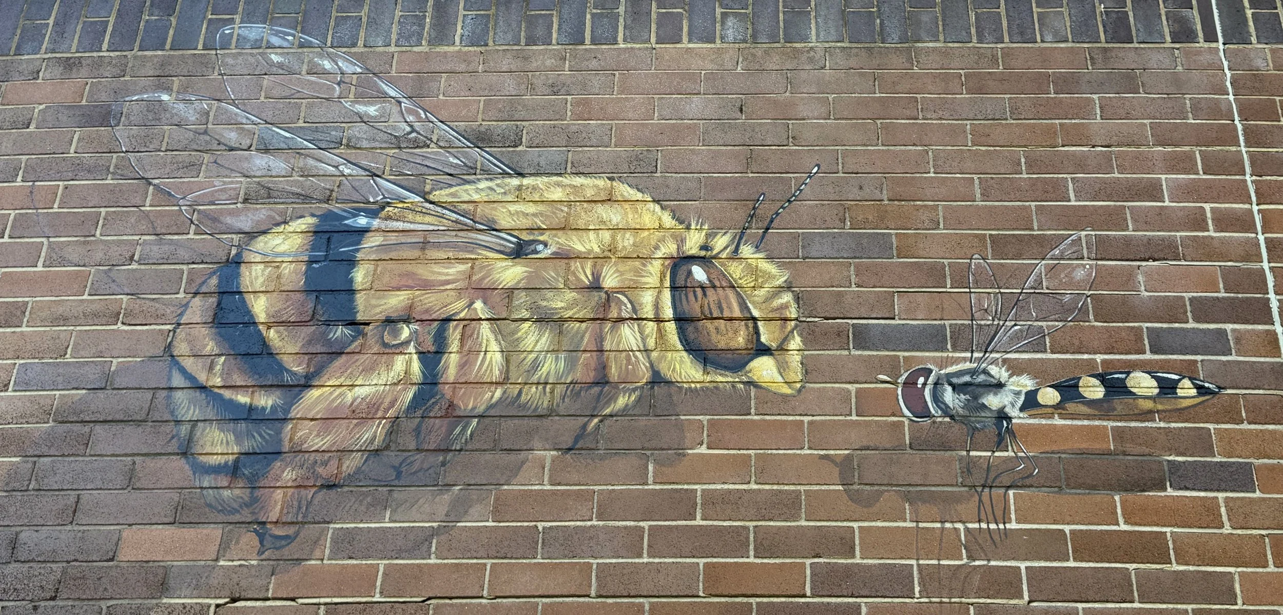 Bumble.jpg