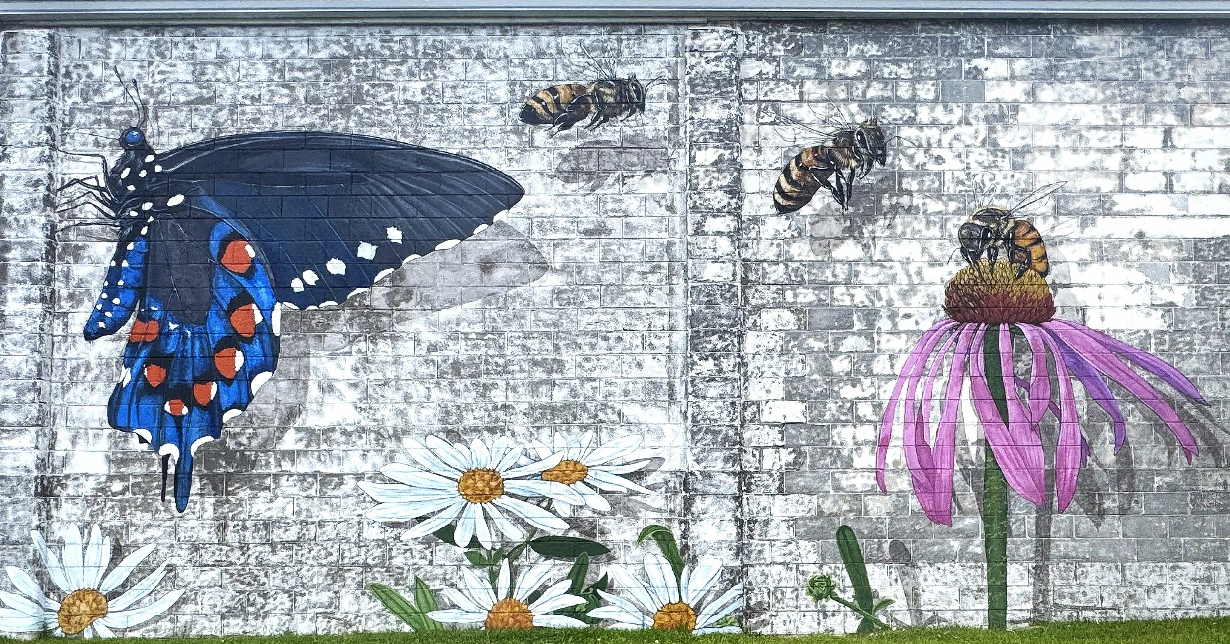 ButterflyRight.jpg
