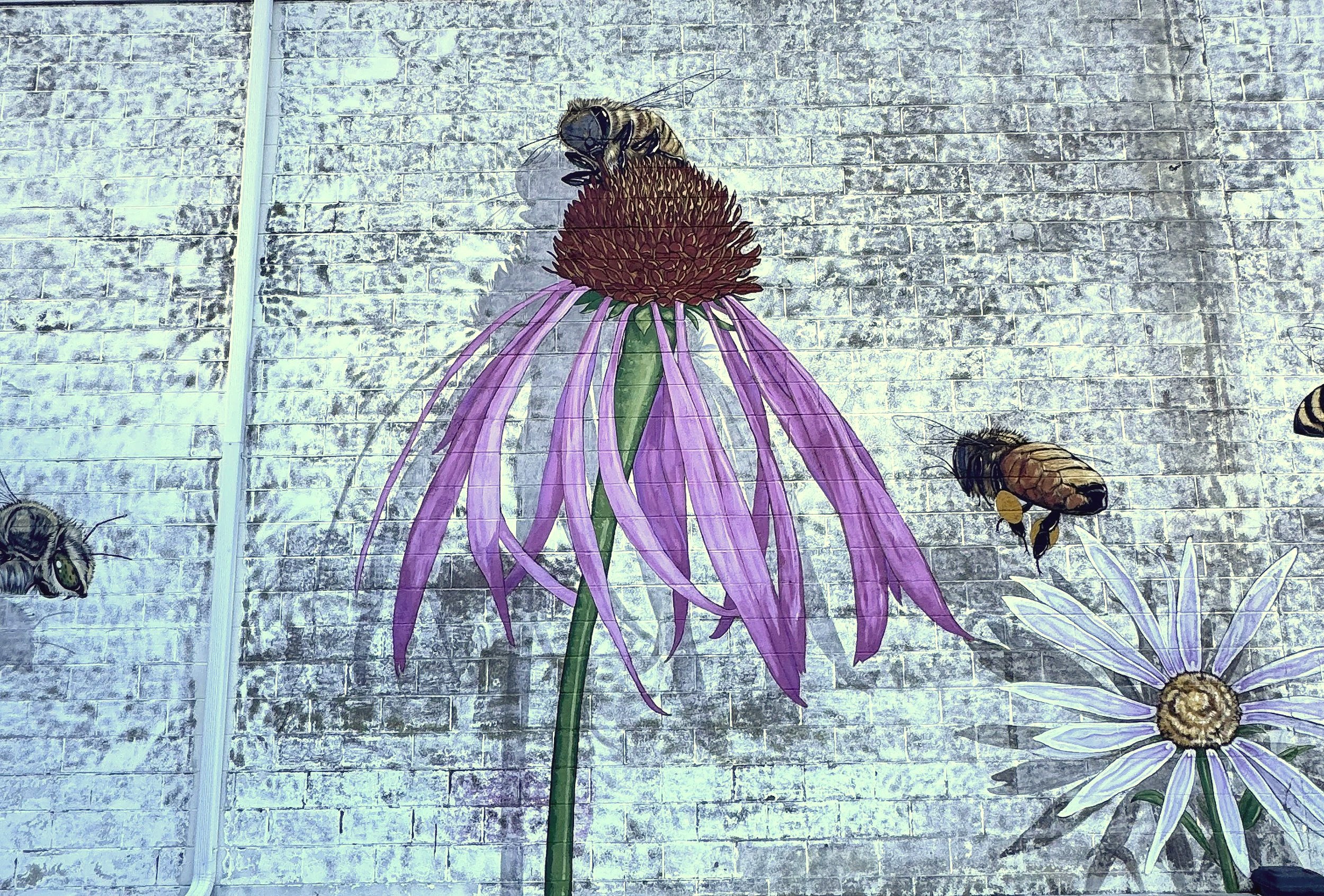 Flowers.jpg