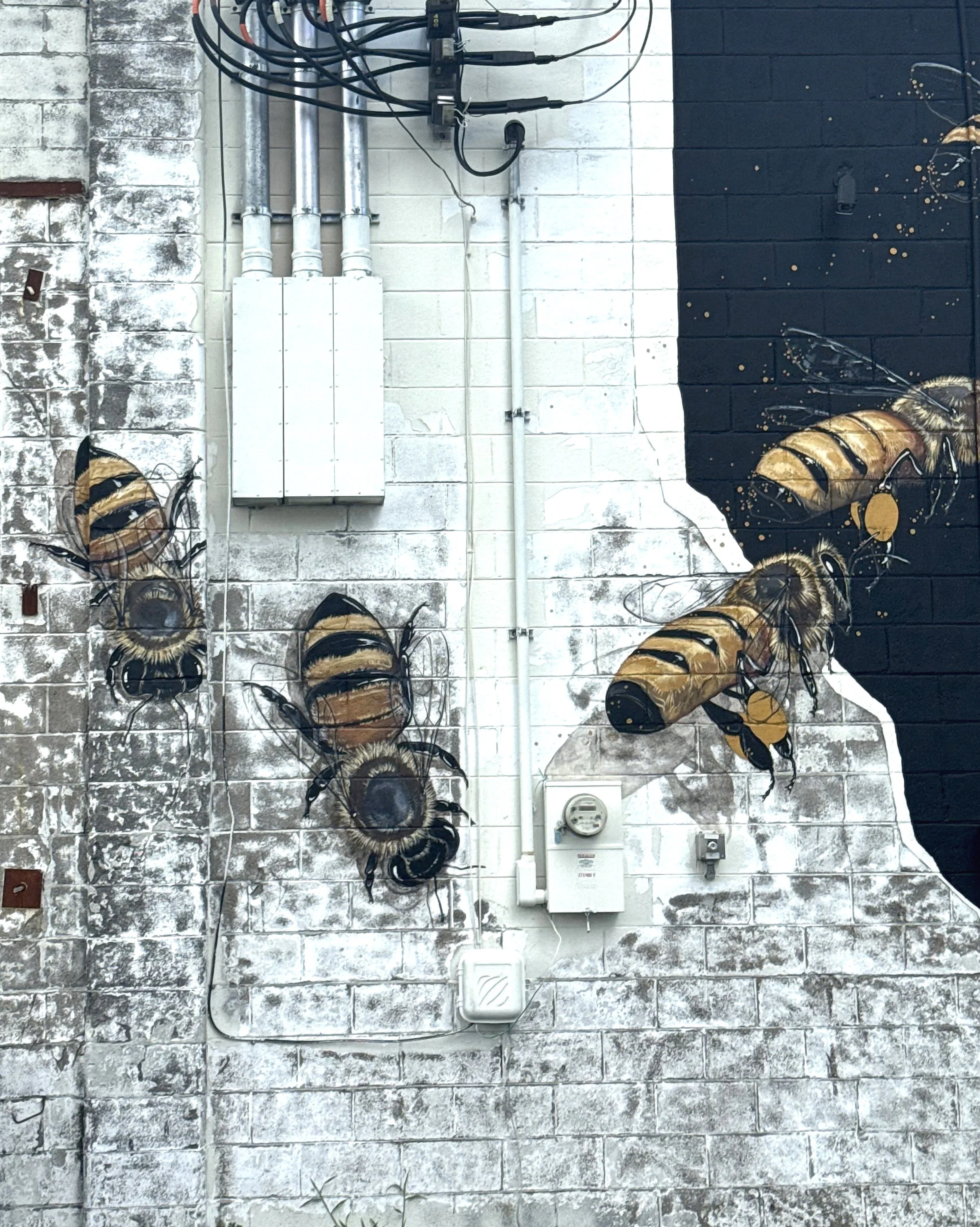 Bees.jpg