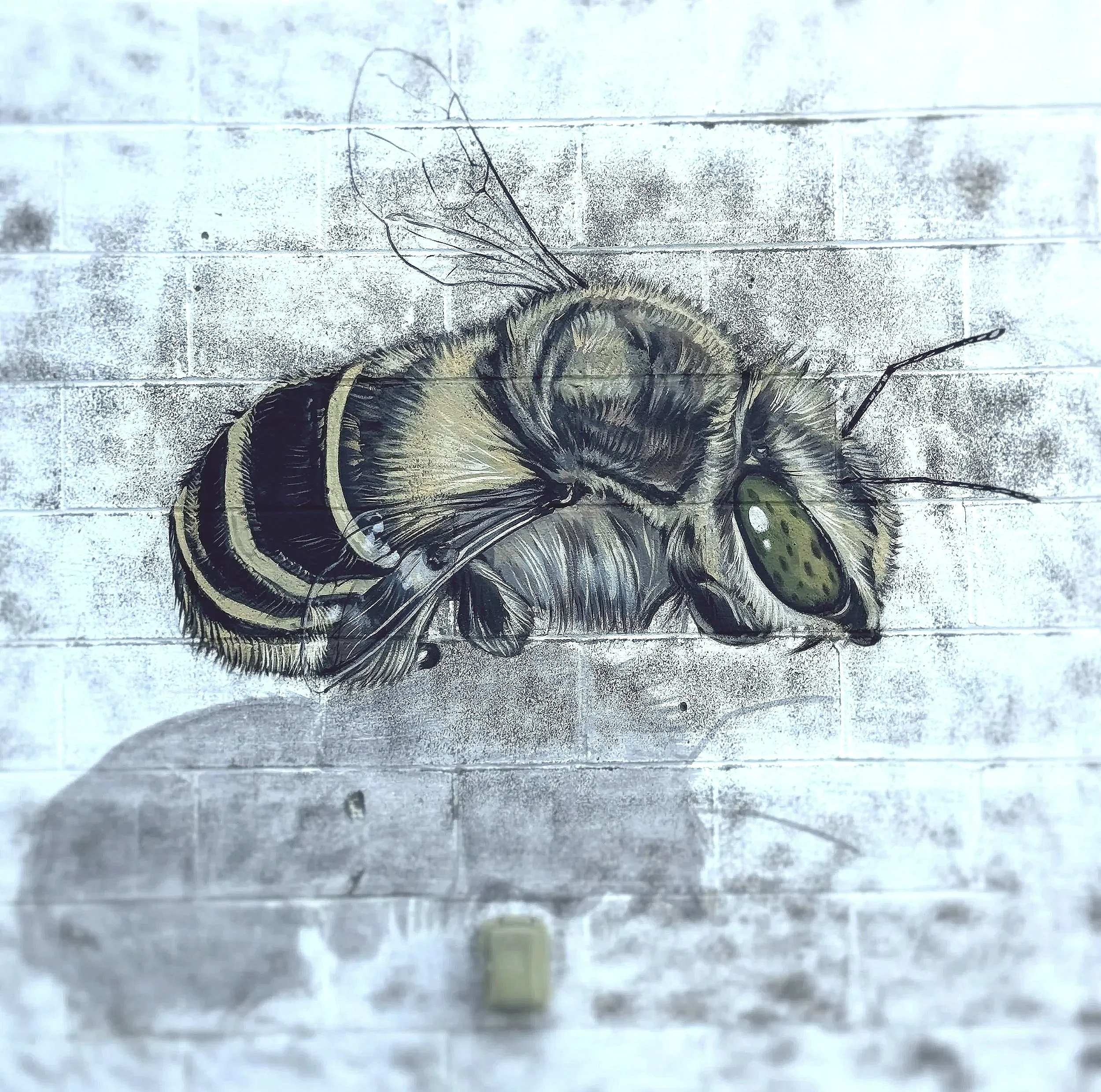 Bee2.jpg