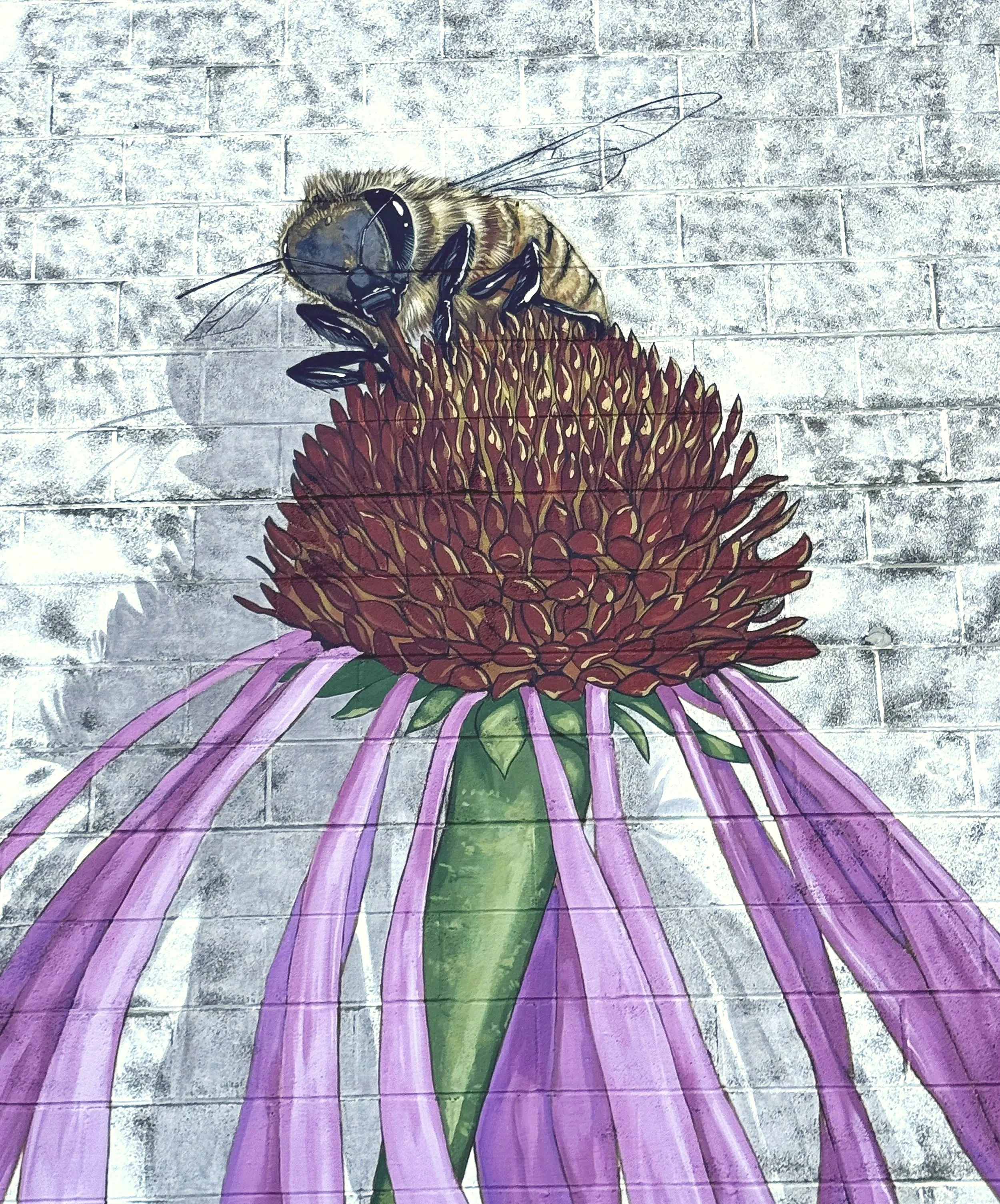 Closeup02.jpg