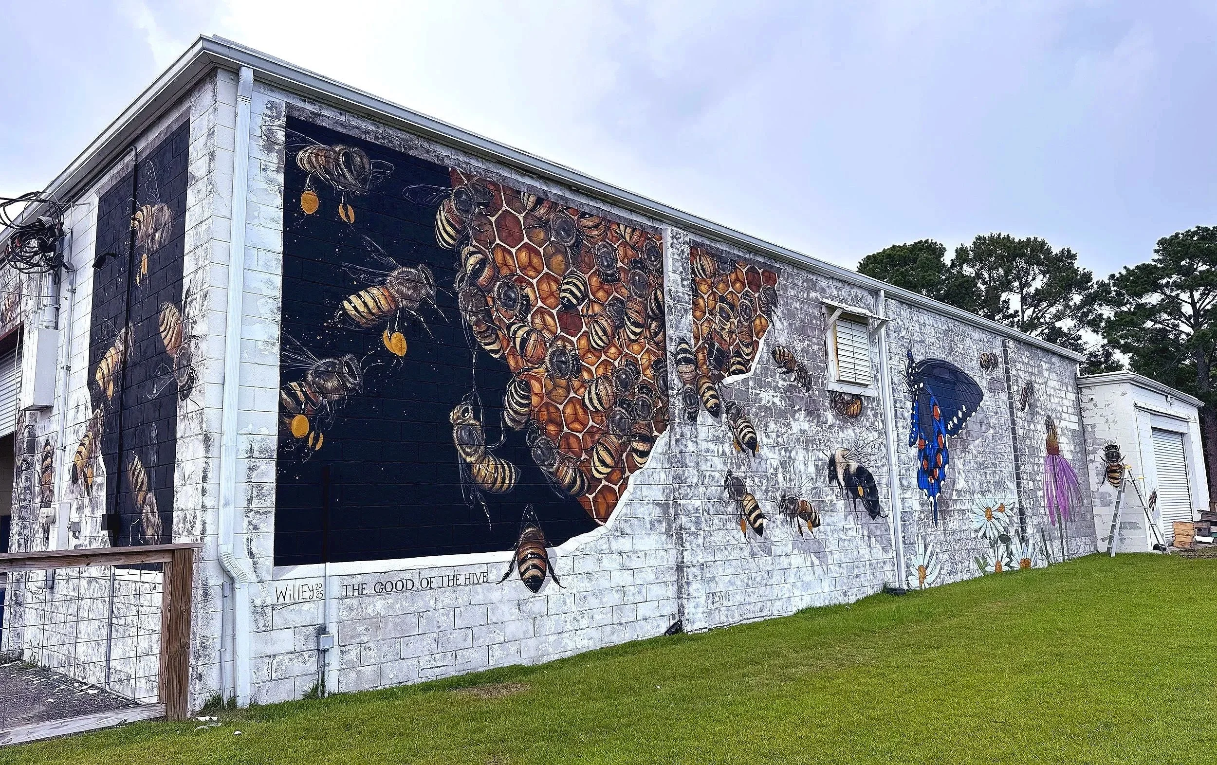 WholeMural.jpg