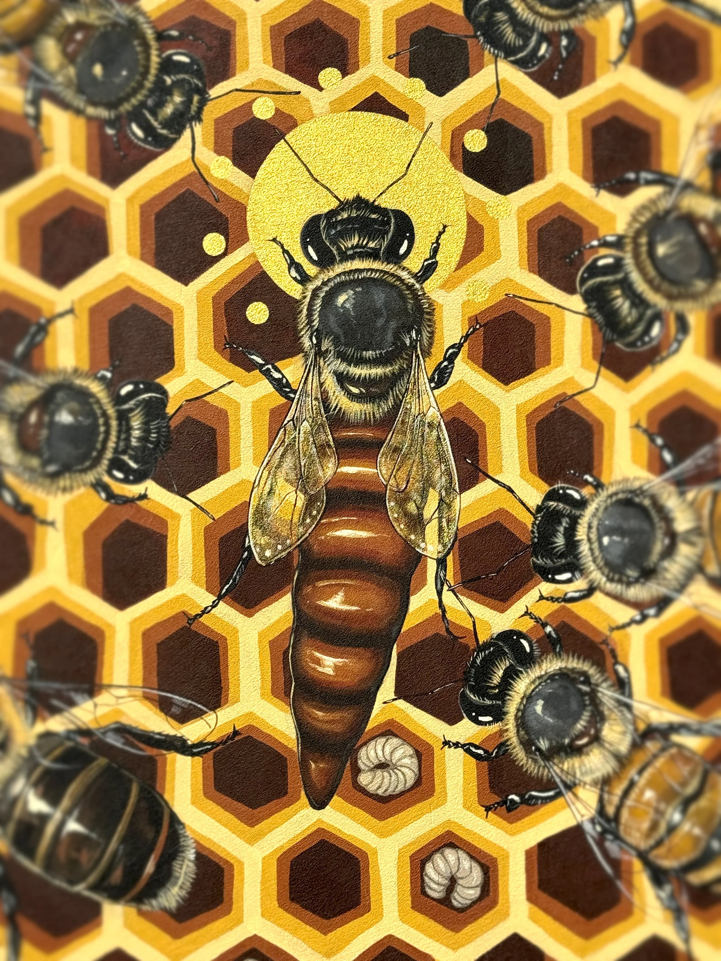 Queen.jpg