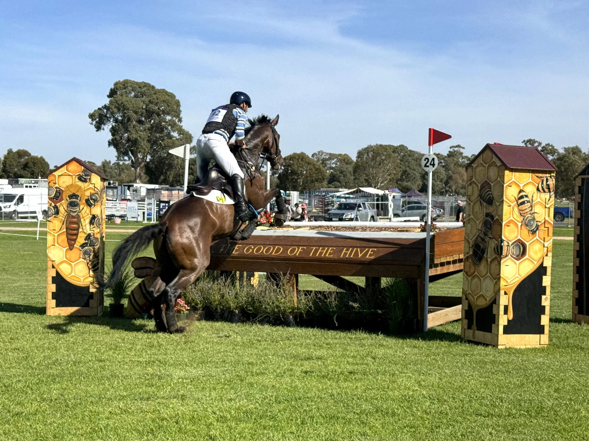 HorseJump03.jpg