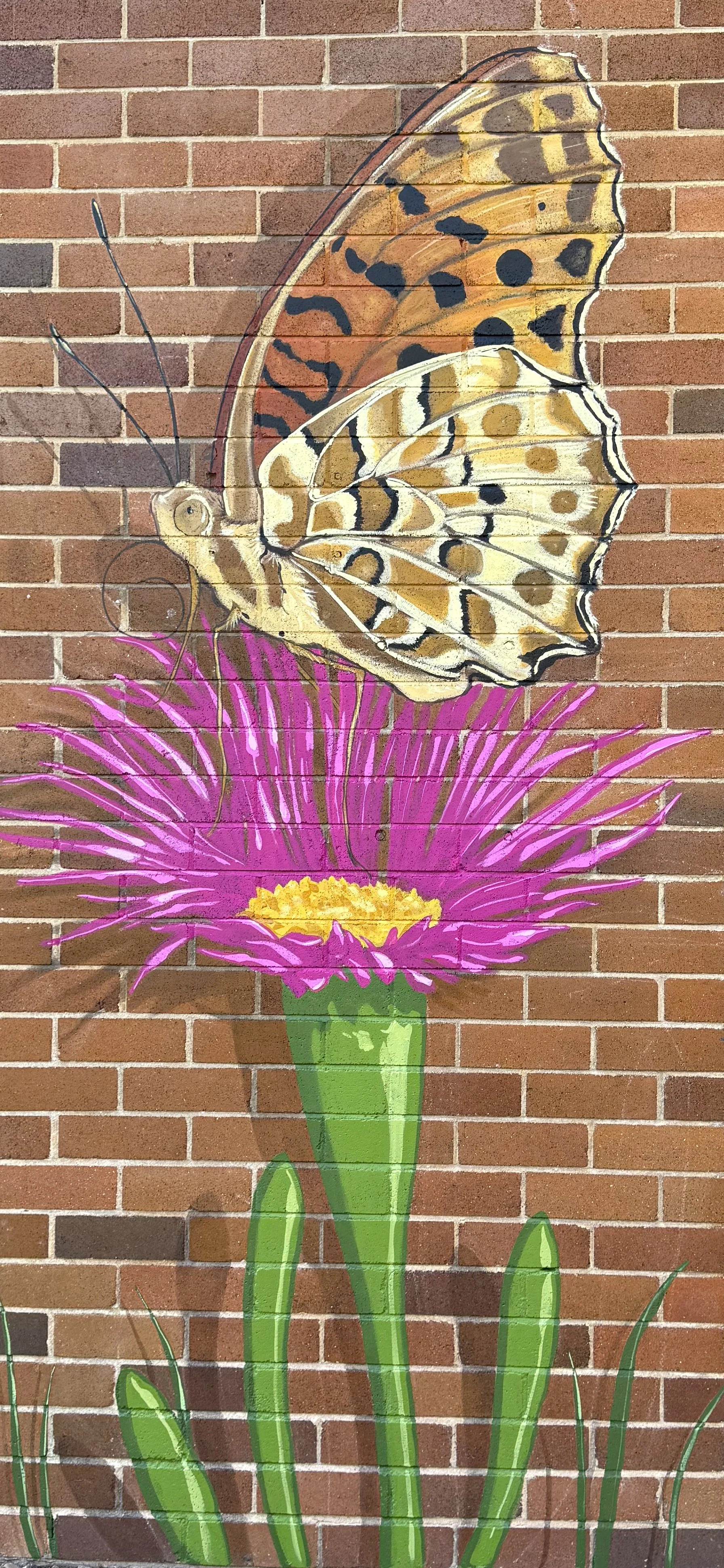 Butterfly.jpg