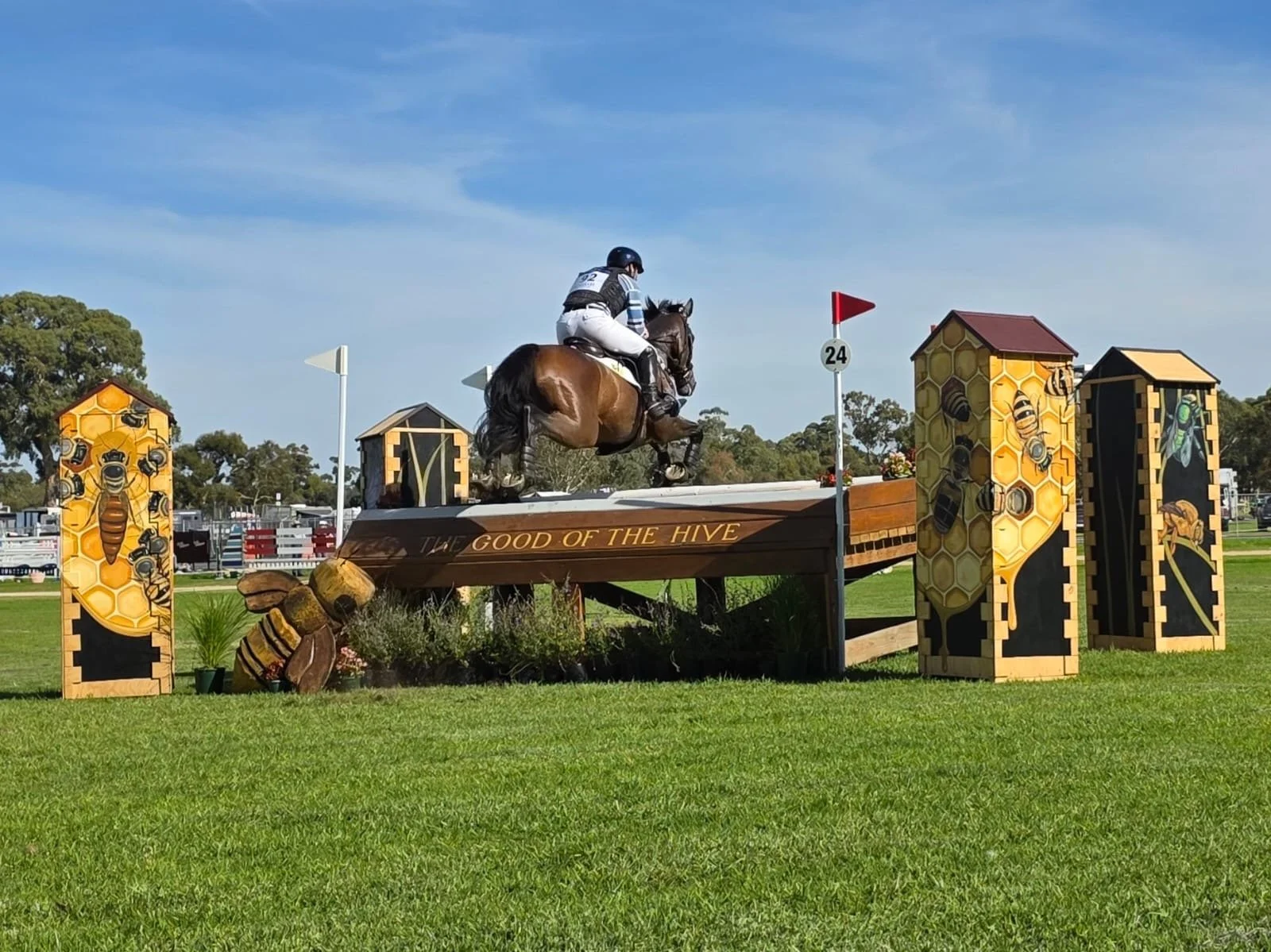 HorseJump.JPG