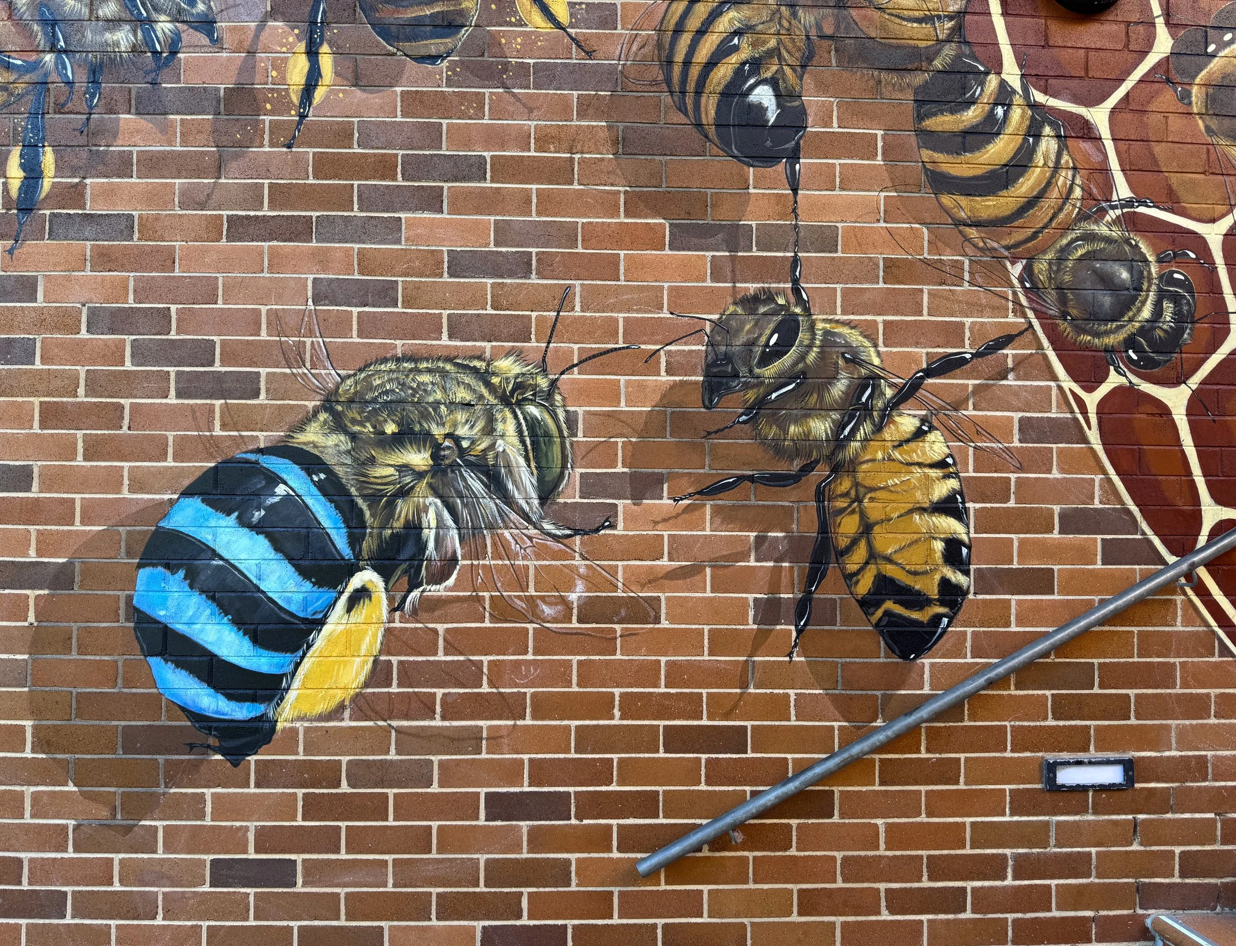 BlueBee.jpg
