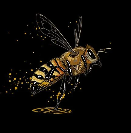 FlyingBee.jpg