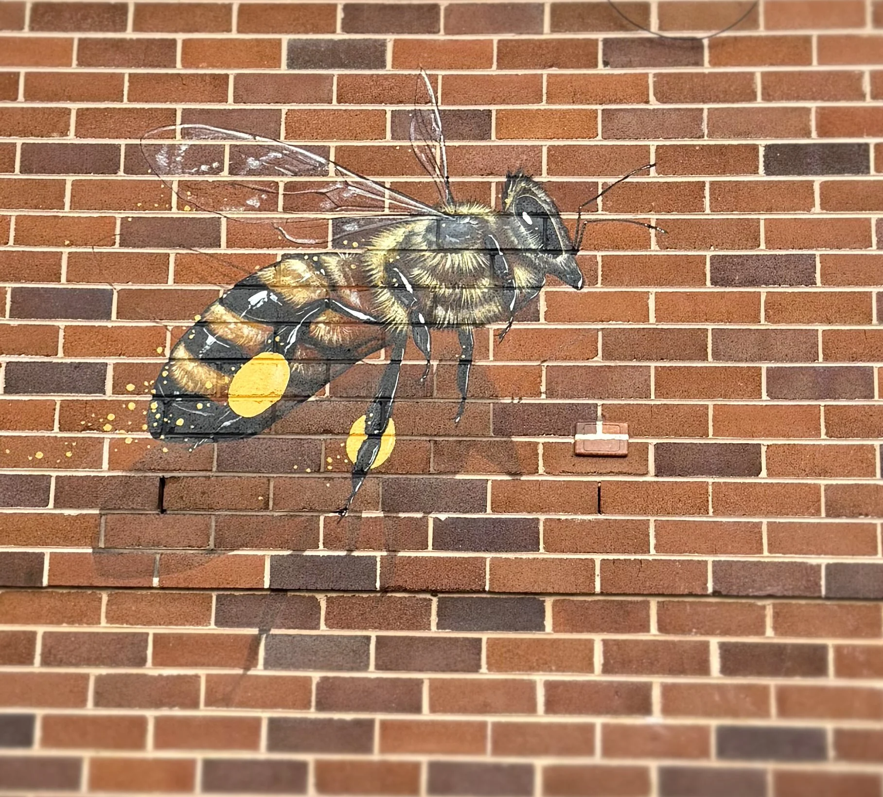 SingleBee.jpg