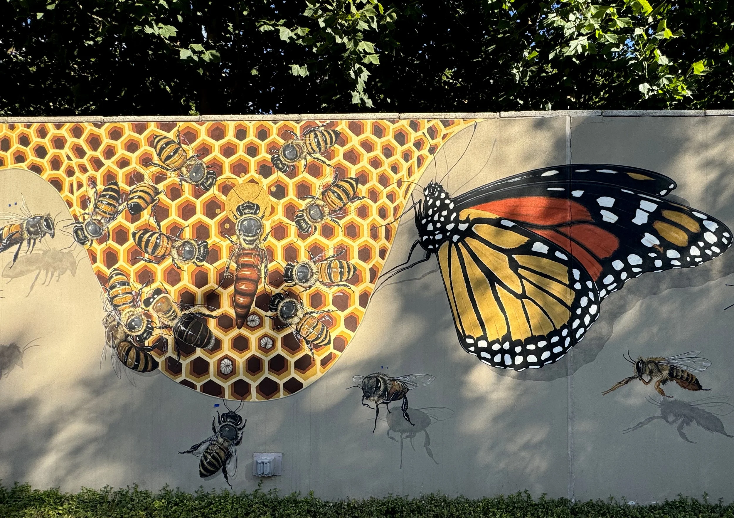 Mural.jpg