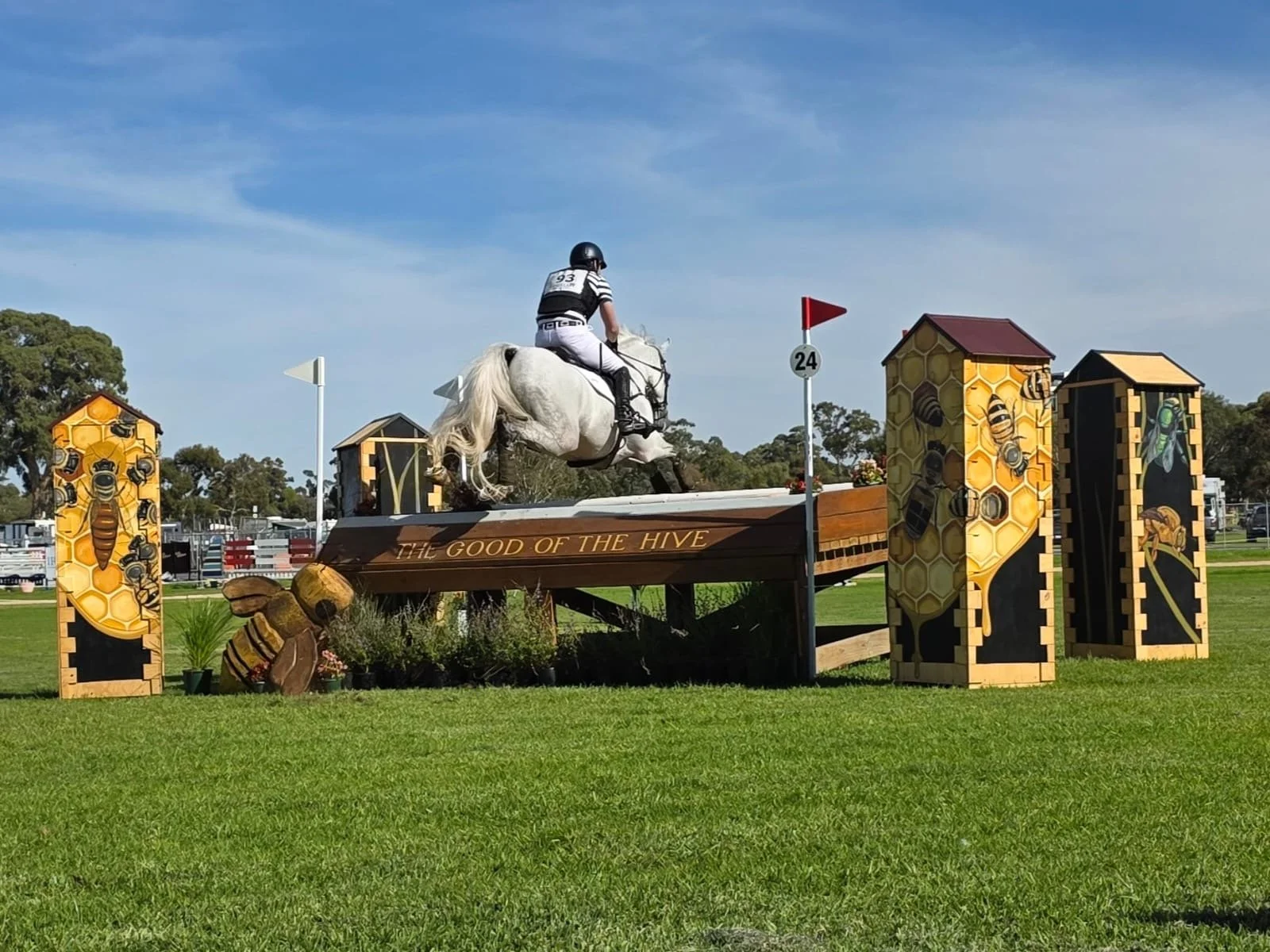 HorseJump002.JPG