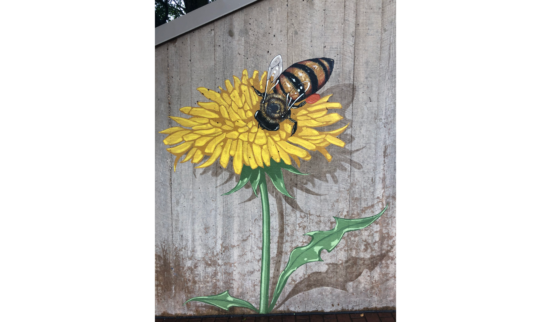 smithsonian-s-national-zoo-mural-the-good-of-the-hive