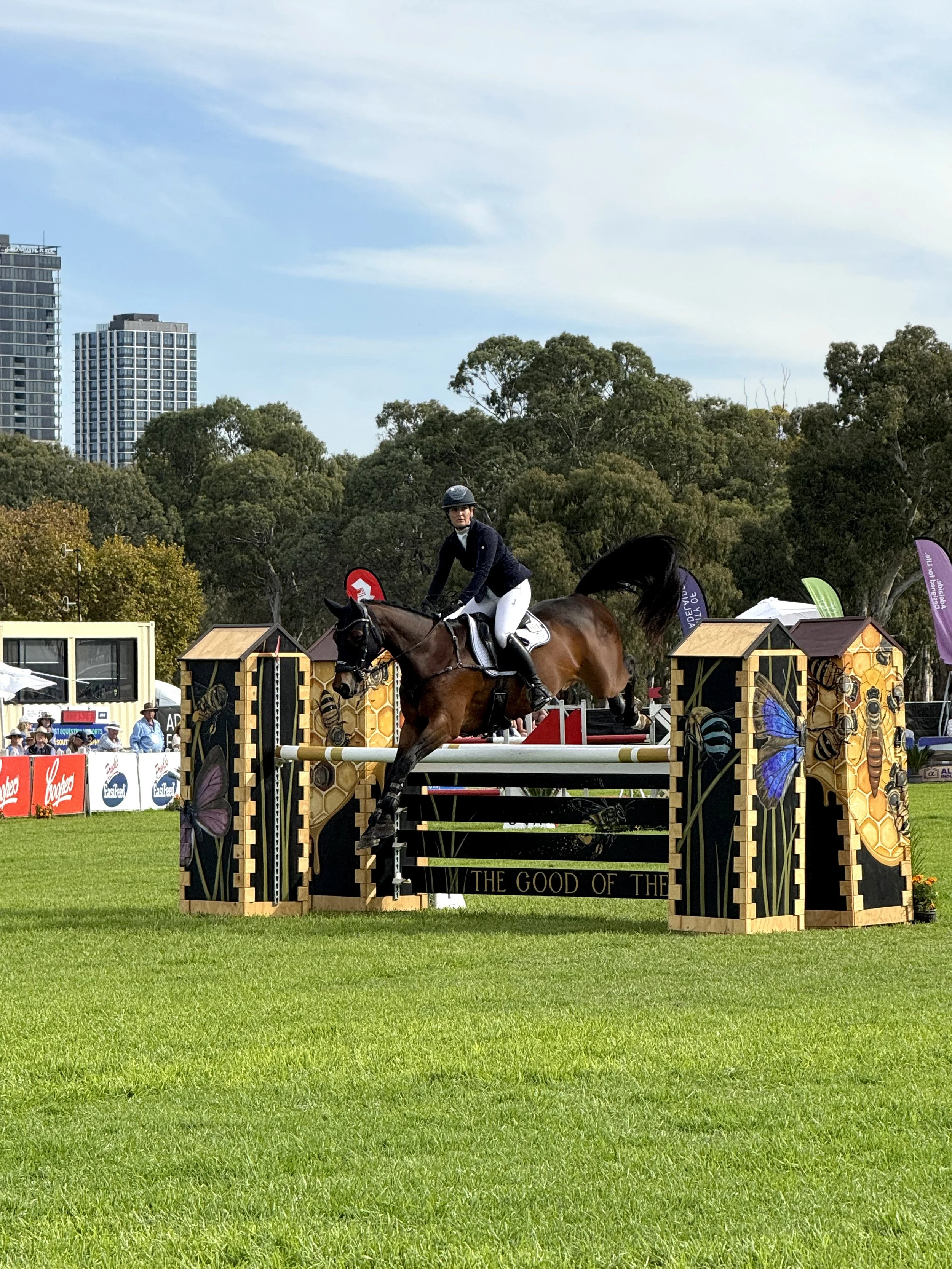 Horsejump04.jpg