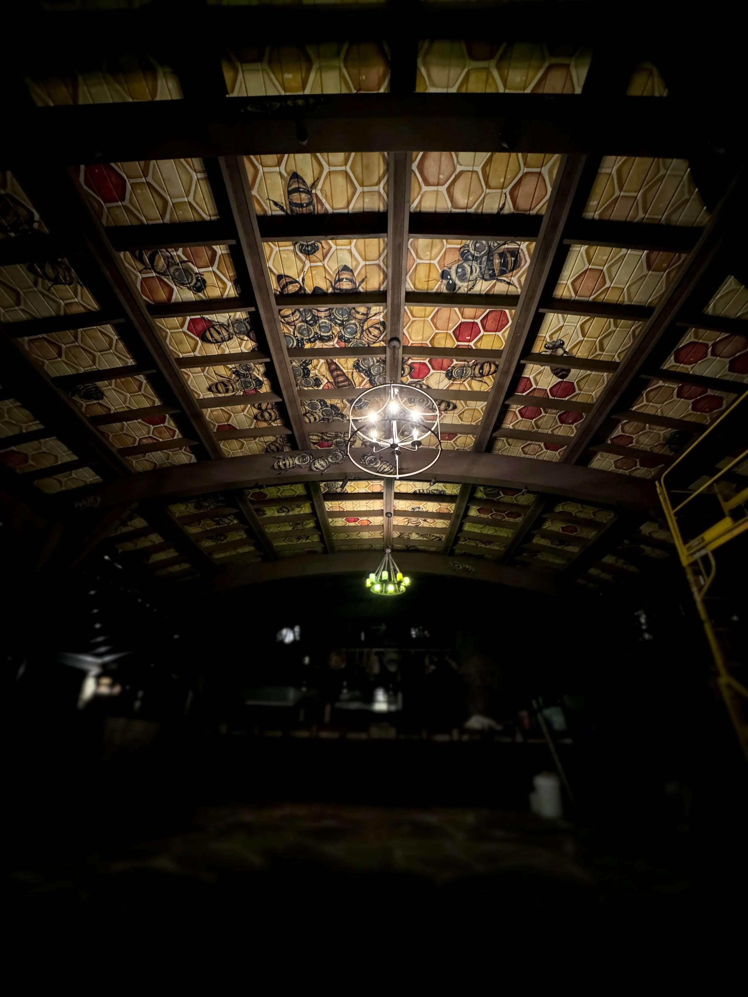 WholeCeiling.jpg