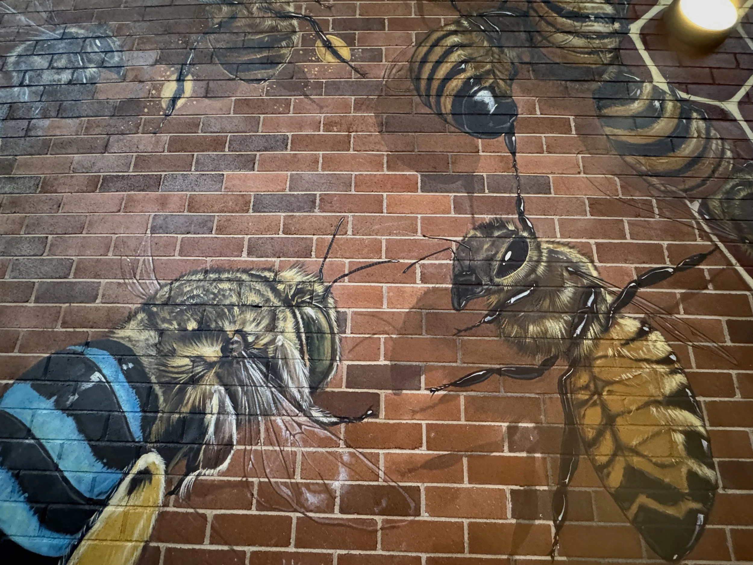 CloseupMural.jpg