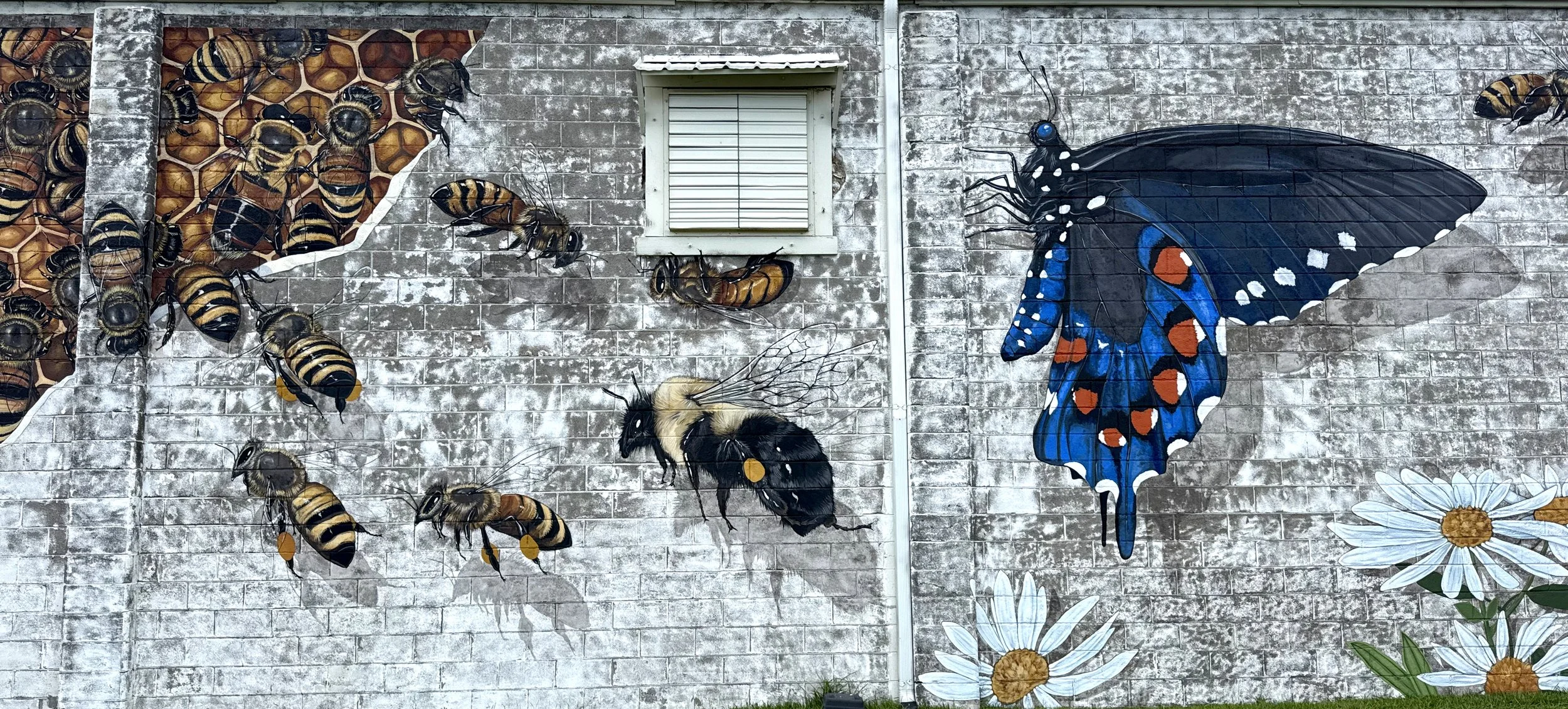 Butterfly.jpg