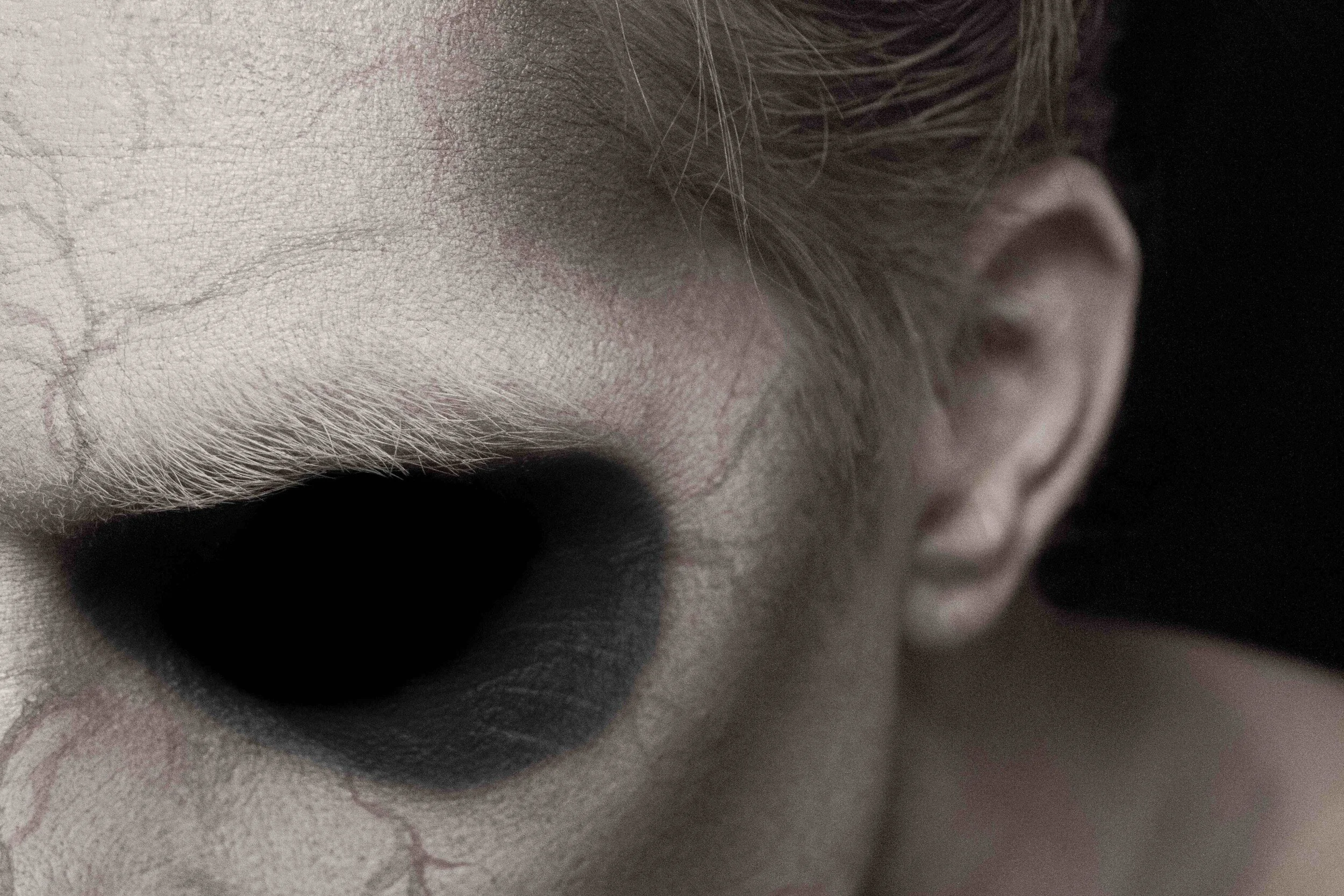 Billy Boy the Clown - First Appearance RC (Holy Grail MAX)