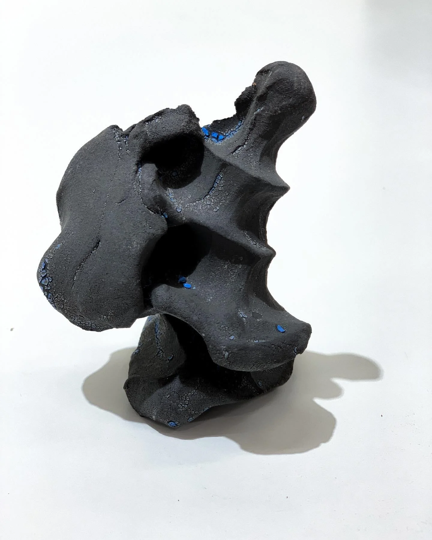 The Inverse 

[ asta seenim ]

These pieces are part of a dialogue exploring present and past connotations associated with the countryside and our consequent imprint. 

PHASE ONE
Inspired by the notion of black matter, Phase One explores the physical