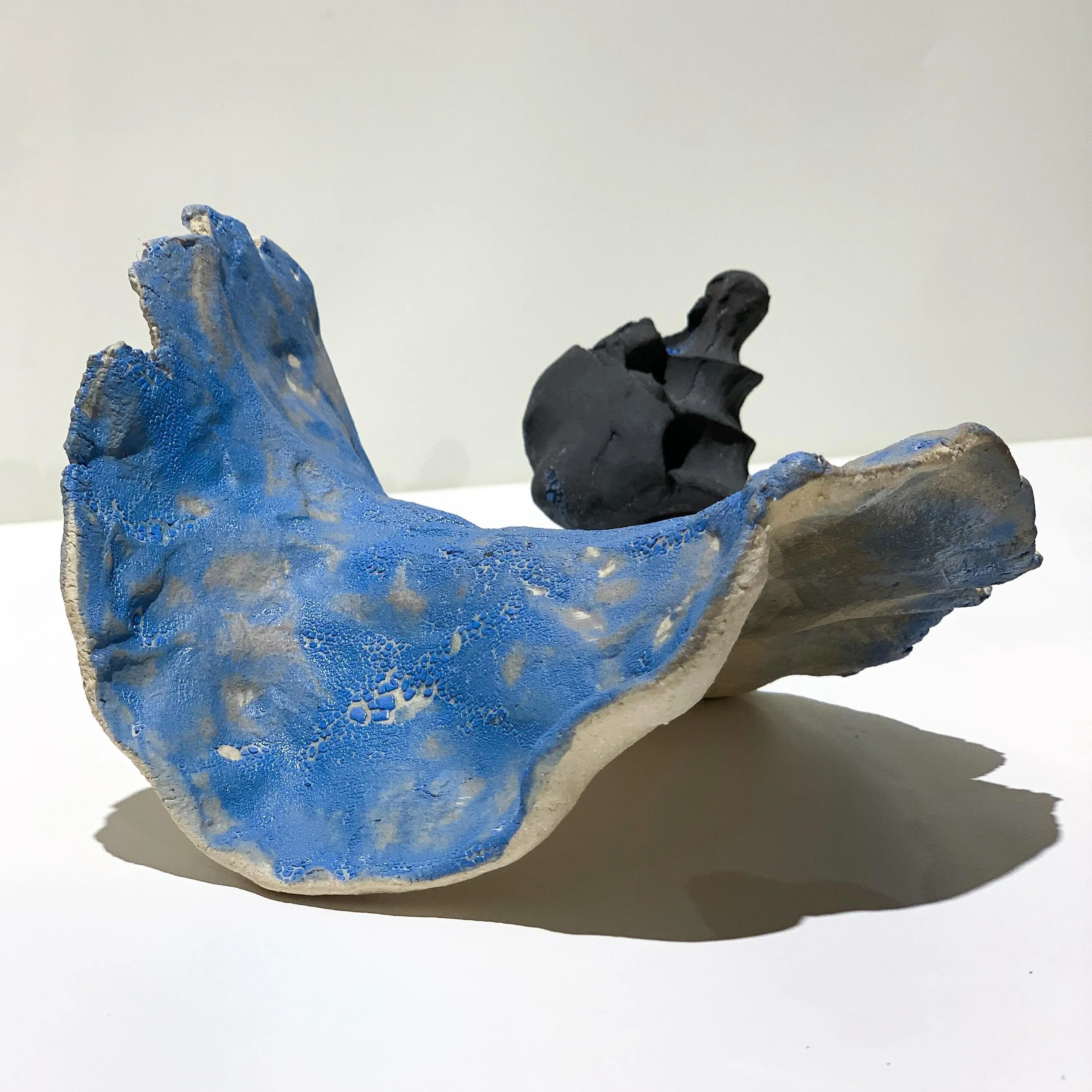 The Inverse

[ asta seenim ]

These pieces are part of a dialogue exploring present and past connotations associated with the countryside and our consequent imprint. 

PHASE ONE
Inspired by the notion of black matter, Phase One explores the physicali