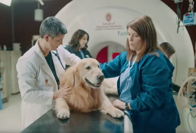 Our Favorite Ads from Super Bowl 2020