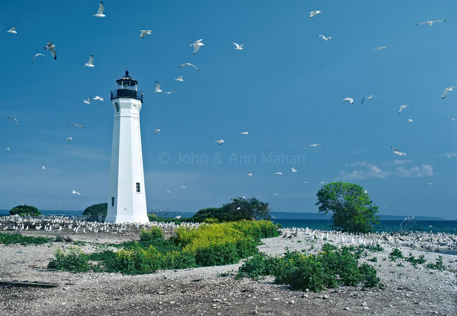 ID_29-410B Ile Aux Galets Lighthouse
