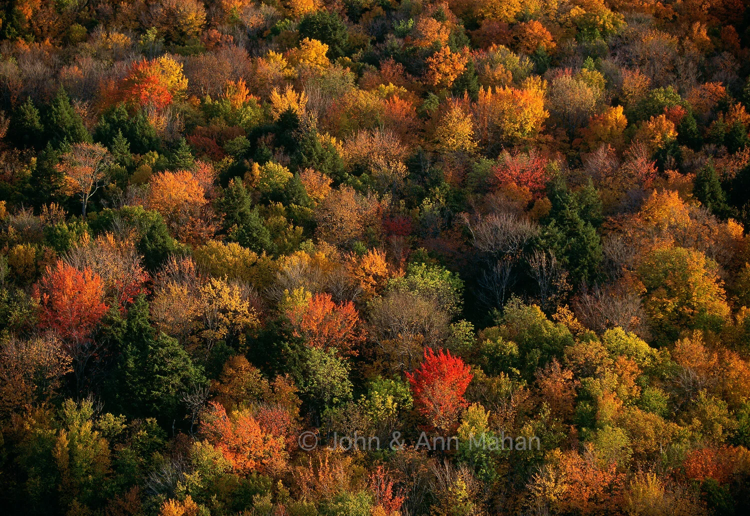 ID_9-5342B.  Fall Color from Lake of the Clouds Overlook -- Porcupine Mountains