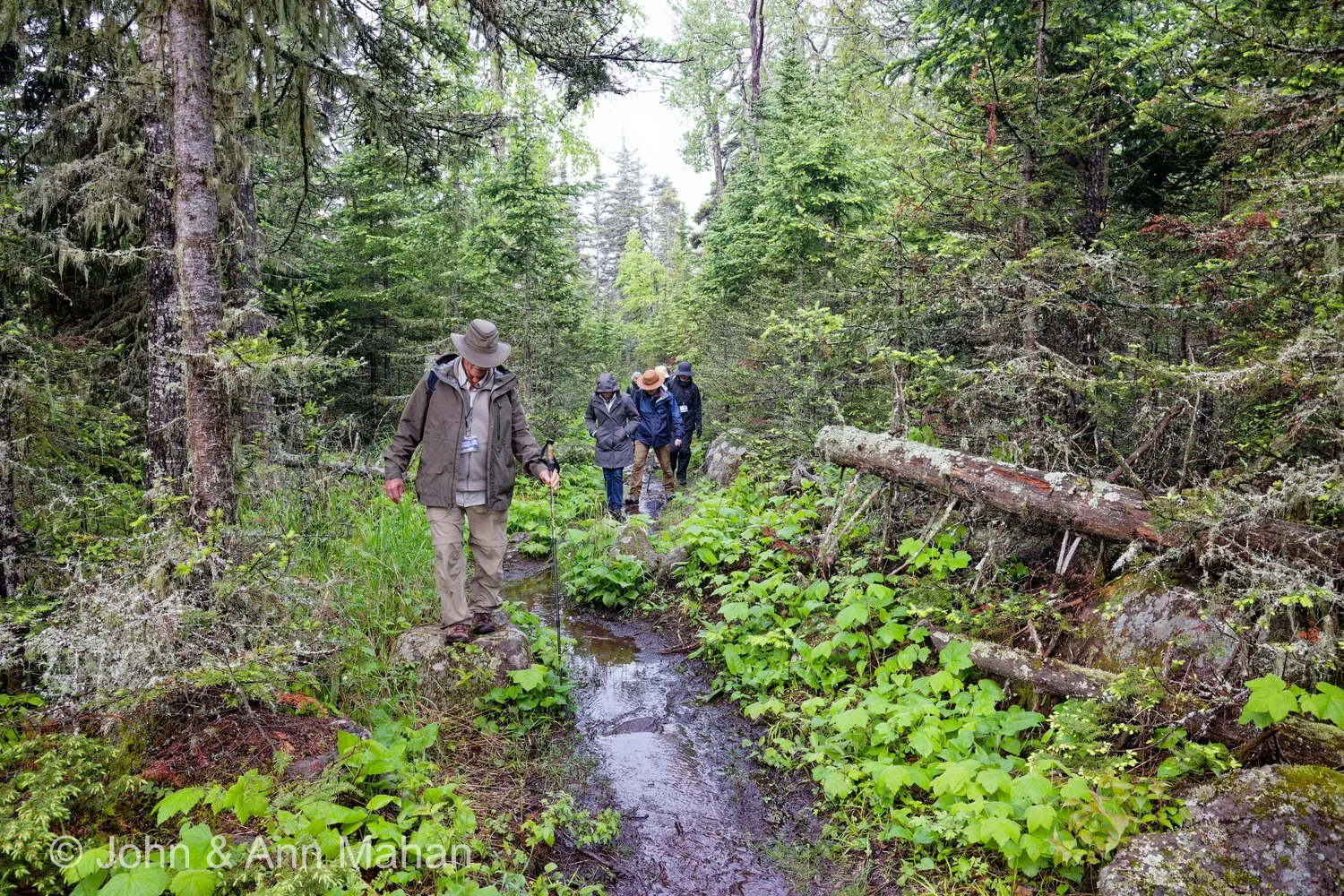 Hiking to Scoville Point