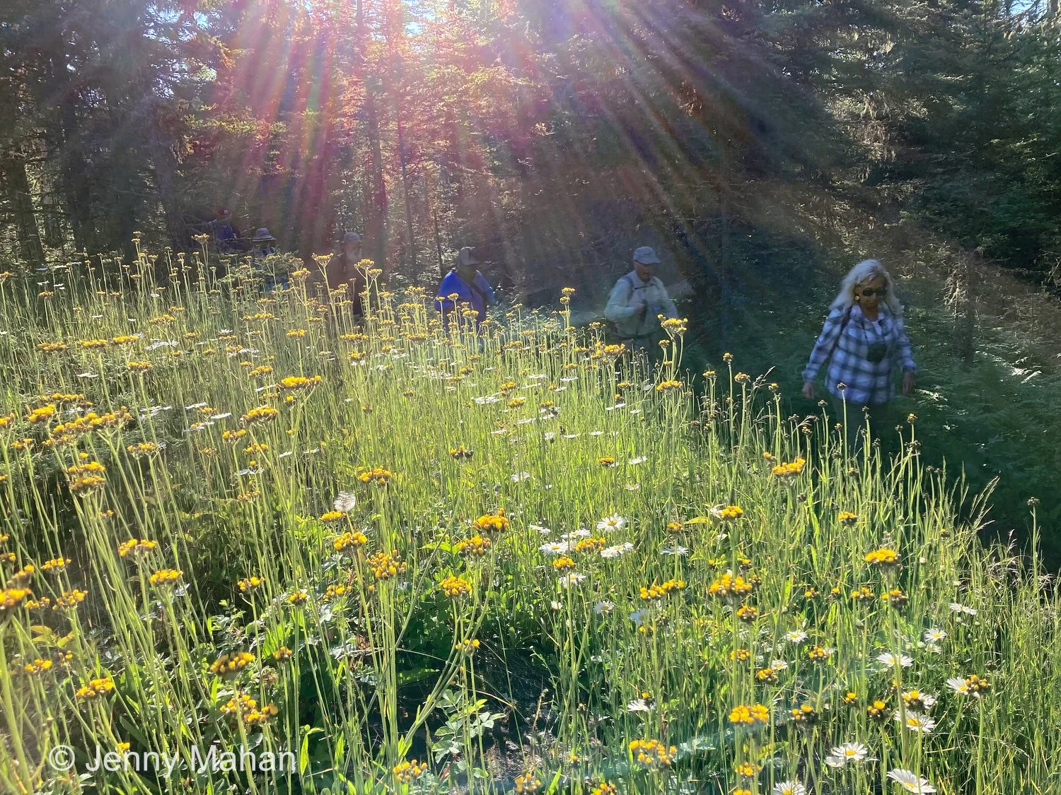 Hiking to Suzy's Cave