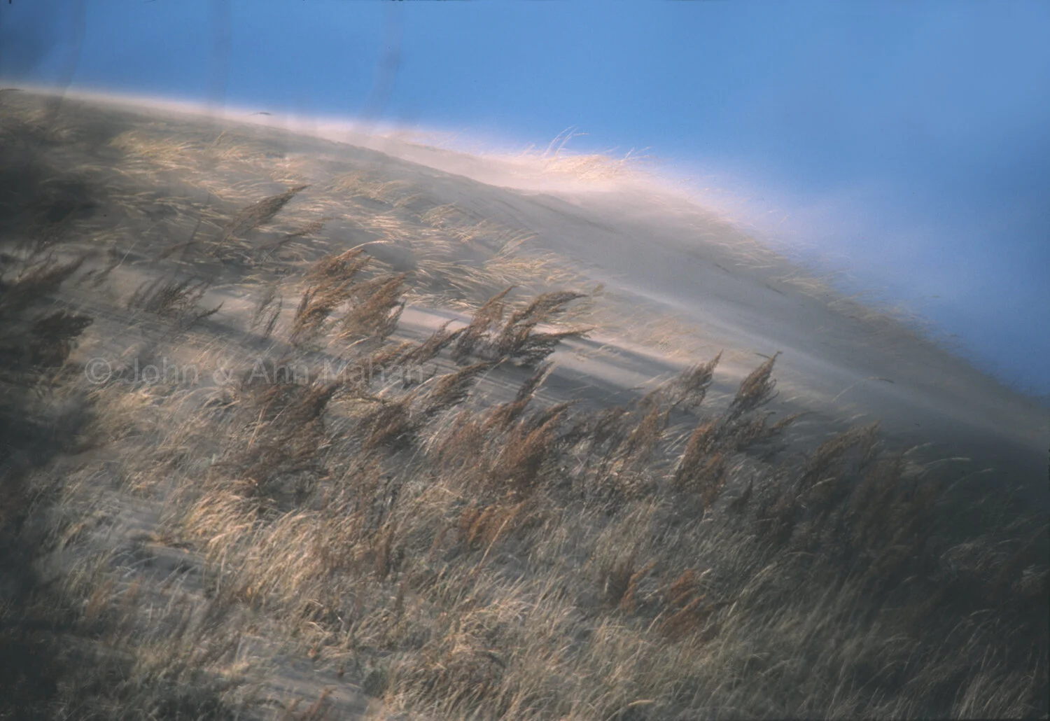 ID_1-2511C  Moving Dune at Hoffmaster State Park