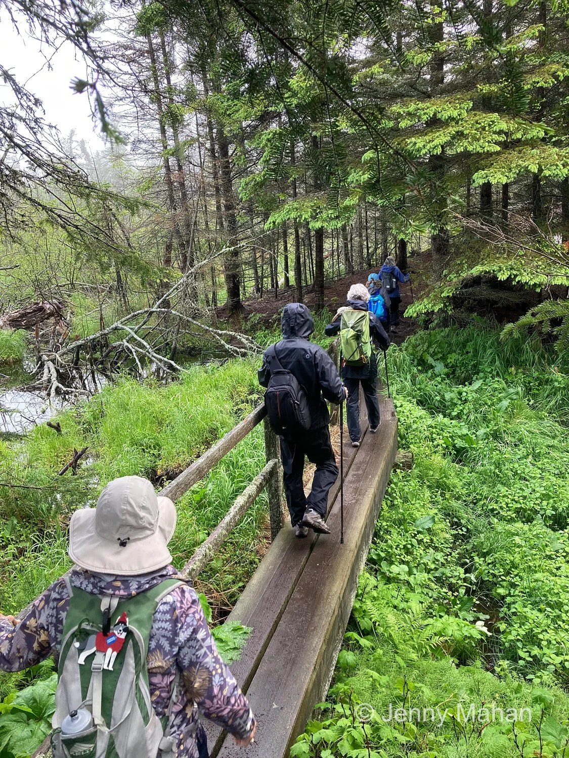 Hiking to Scoville Point